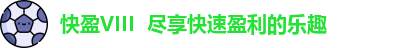 快盈VIII